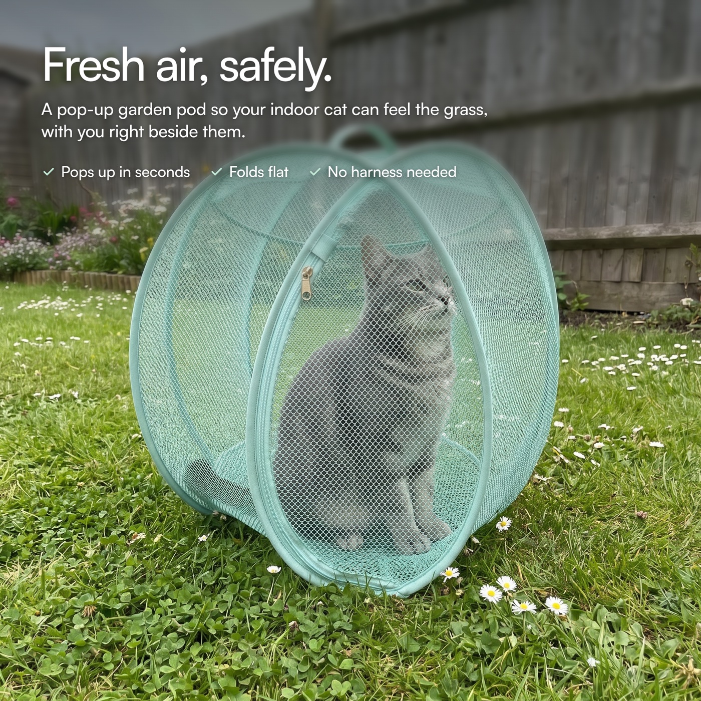 Grey tabby cat sitting calmly inside a mint mesh pod on a garden lawn